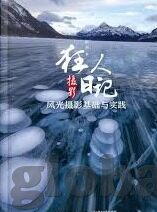 足球比分资讯-足球比分资讯，绿茵场上的实时脉搏与深度解析